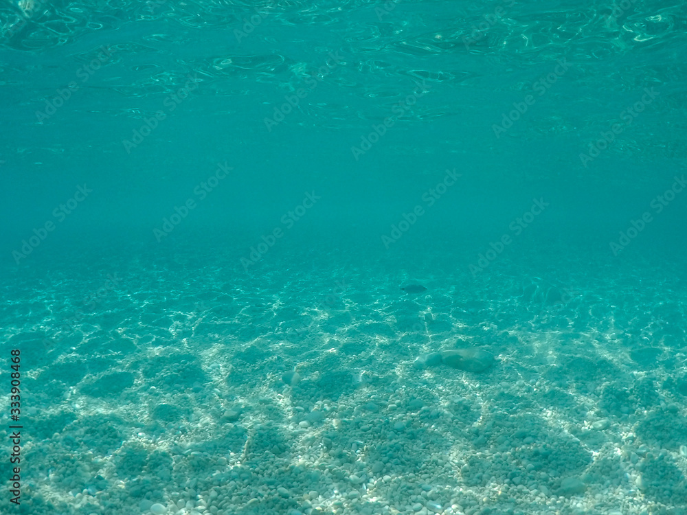 Stony sea floor with reflections of sunlight .