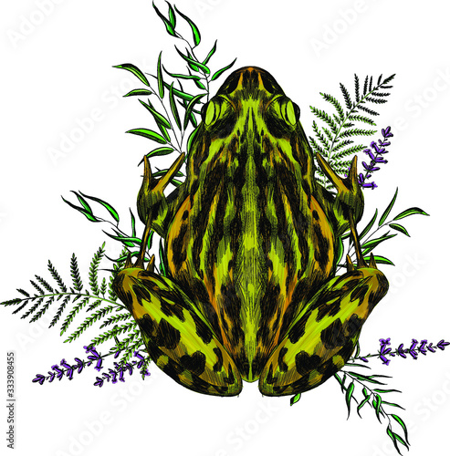 toad green with branches overgrown the flowers reeds composition animal symmetric vector illustration