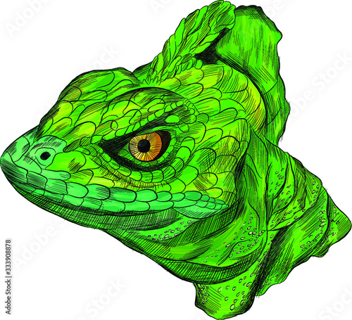 lizard reptile head green Basilisk stroke realistic vector illustration