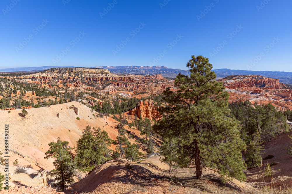 Landscape with amazing  sandstone formations in scenic Bryce Canyon National Parkon on a sunny day. Utah, USA