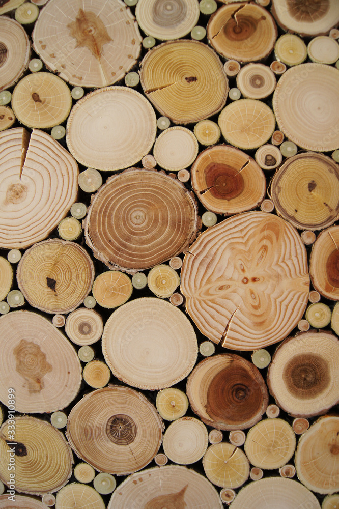Round wood texture. Cross section of the juniper tree. Art abstract nature. Round wood texture. Cross section of the juniper tree. Art abstract nature.