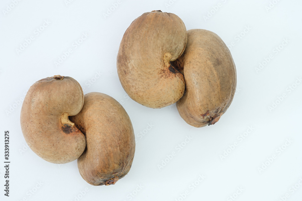 Cashew nuts with shell waiting to be processed on white background Cashew nuts with shell waiting to be processed on white background