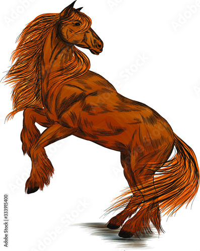 brown horse standing on its hind legs vector illustration