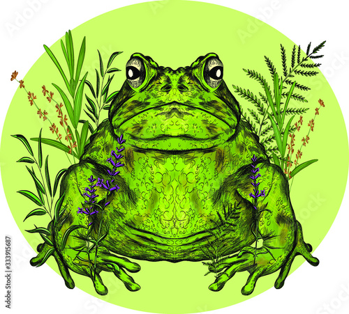 toad with branches overgrown the flowers reeds composition on a green circle background animal symmetric vector illustration