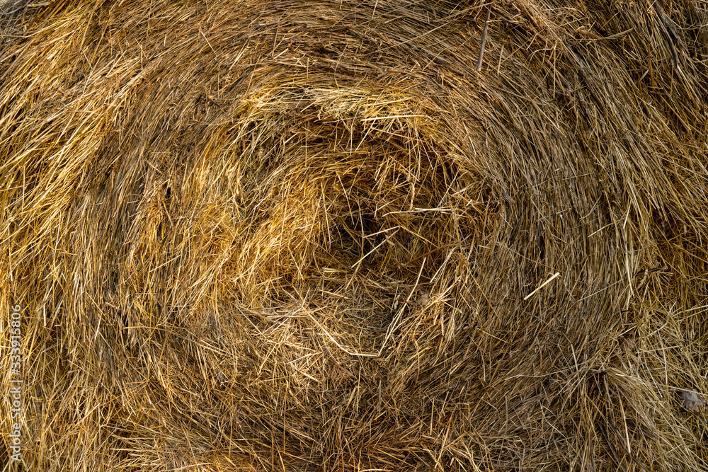 Strohballen mit interessanten, kreisrunden Strukturen und Formen