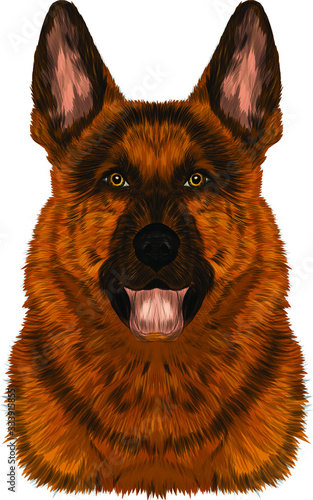 head German shepherd brown dog portrait vector illustration