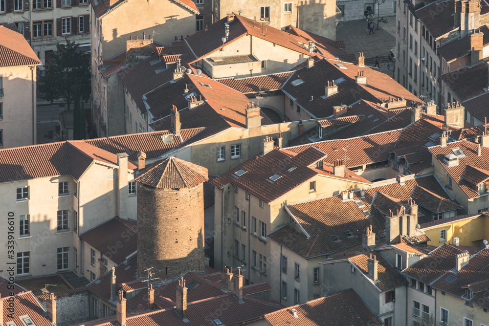 Fototapeta premium grenoble