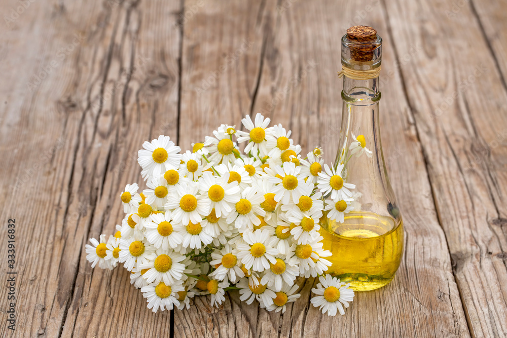 Essential oil in glass bottle with fresh chamomile flowers, beauty treatment. Essential oil in glass bottle with fresh chamomile flowers, beauty treatment.