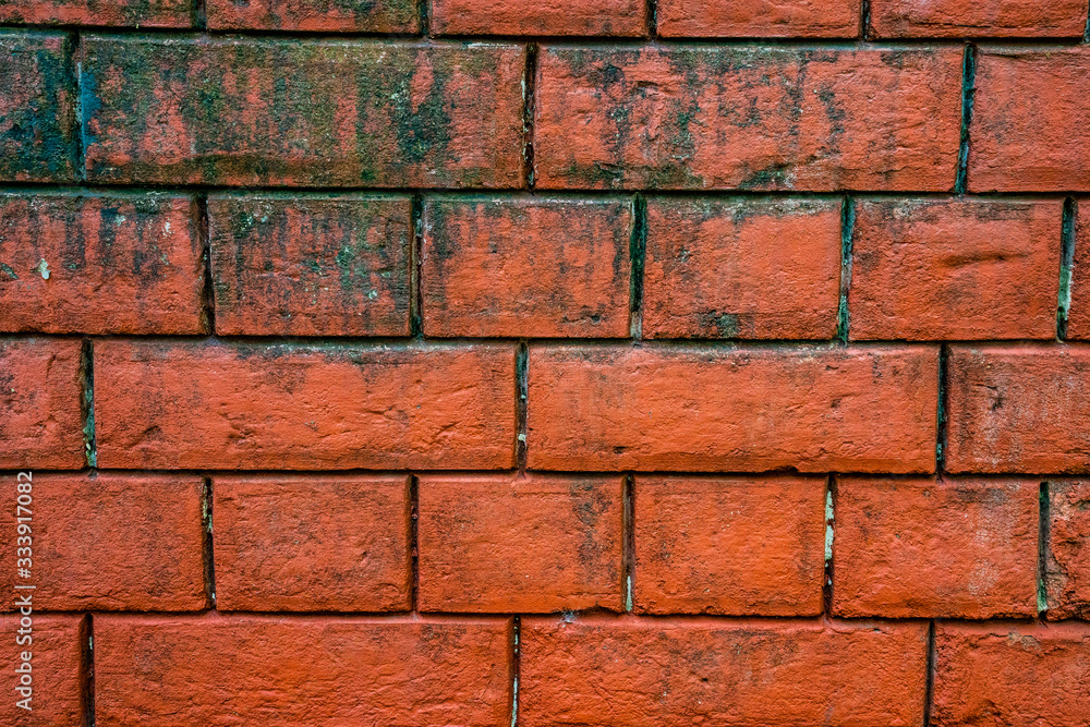 Background Texture Background Texture