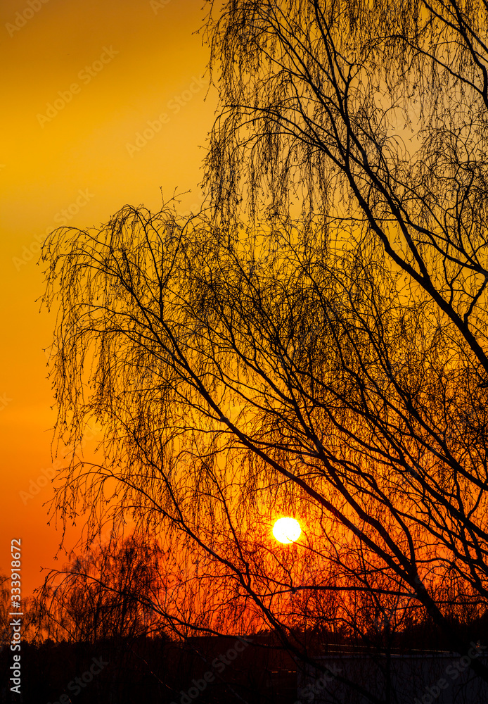 Sunset Sunset
