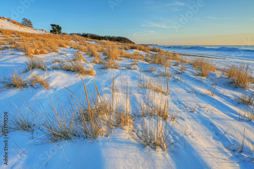 Winter landscape of beach grasses and iced shoreline of Lake Michigan, Saugatuck Dunes State Park, Michigan, USA