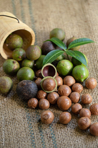 Macadamia nuts on sacks in natural light photo