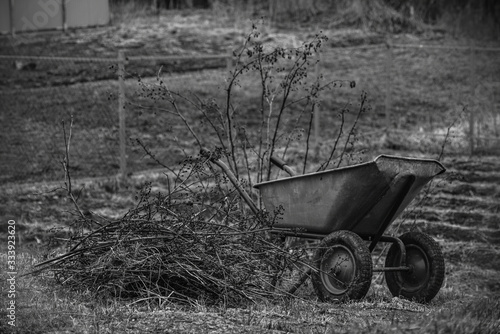 wheelbarrow in the garden