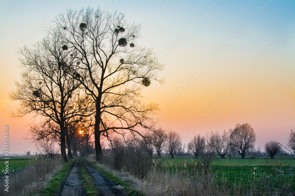 sunset on Zuławy Wislane in Poland, beautiful landscape sunset on Zuławy Wislane in Poland, beautiful landscape