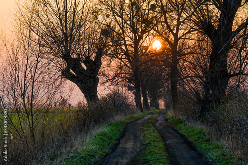 sunset on Zuławy Wislane in Poland, beautiful landscape photo