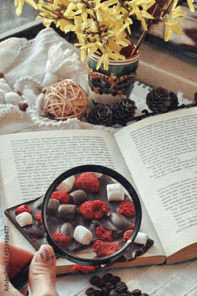 Crafted handmade chocolate bar with marshmallow and berries, coffee beans and good book