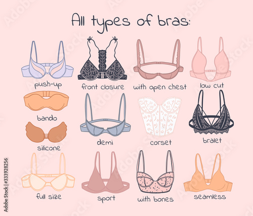 types of bras hand-drawn vector illustration