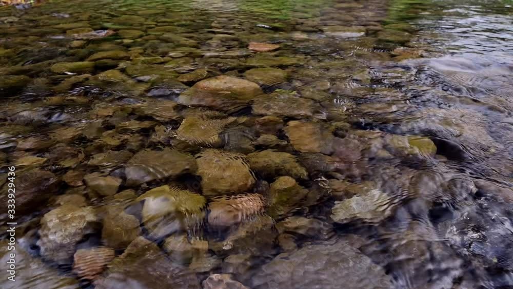 Epic slow motion clear water flowing river with yellowish brown volcanic rocks bottom Epic slow motion clear water flowing river with yellowish brown volcanic rocks bottom