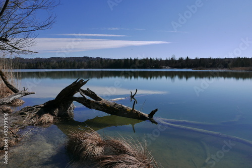 Ickinger Weiher - Landschaftsschutzgebiet - ein kleiner See am Rande der Gemeinde Egling bei Wolfratshausen, Oberbayern - Germany © Ernst August
