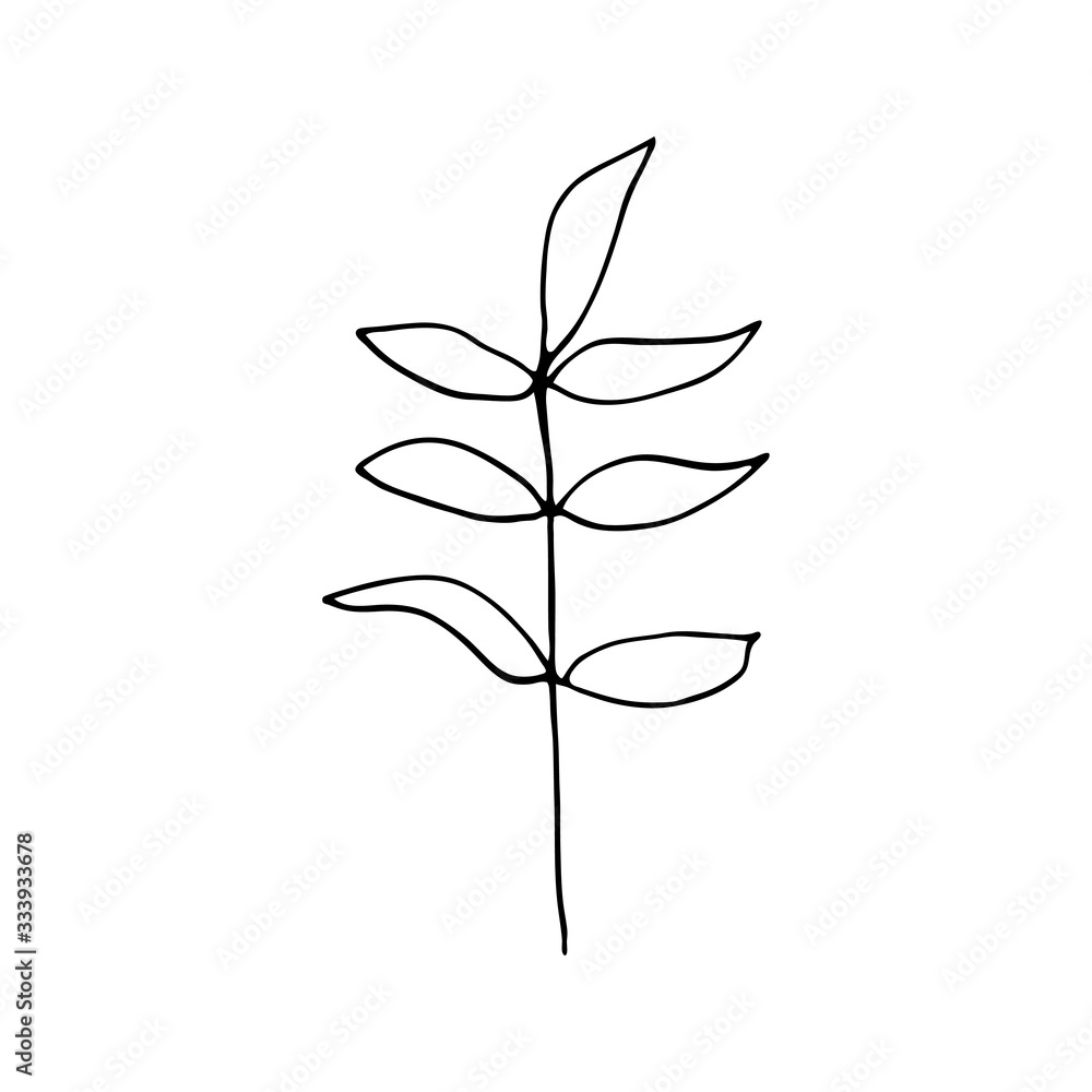 Cute single hand drawn herbal elements. Doodle vector illustration for wedding design, logo and greeting card. Cute single hand drawn herbal elements. Doodle vector illustration for wedding design, logo and greeting card.