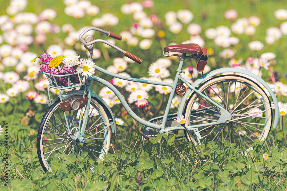 bicycle model set in flowery meadow bicycle model set in flowery meadow
