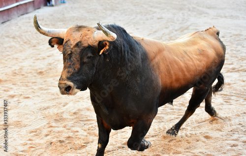 toro español