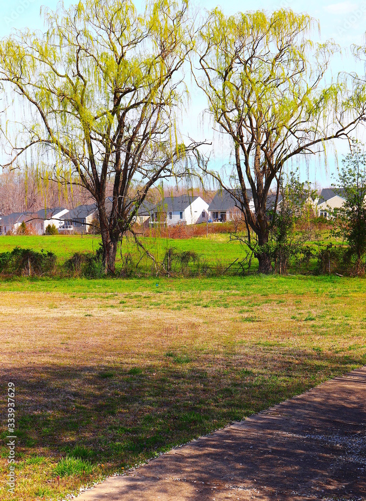 Obraz premium Spring Colors at Housing Community