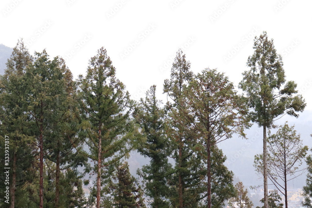 日本の山の景色 日本の山の景色