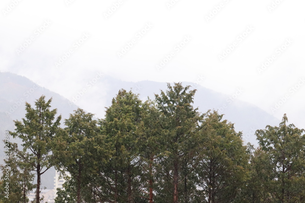 Obraz premium 日本の山の景色