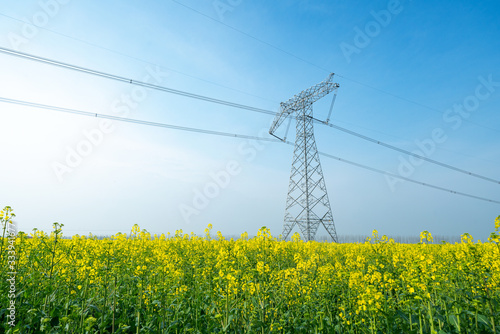High voltage transmission tower in rape field