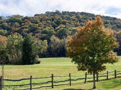 Fall trees nestled in the Laurel Highlands of Pennsylvania with an orange green tree in the foreground with a brown rickety fence and then lots of trees in the background with a blue cloudy sky behind