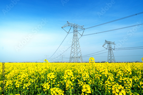 High voltage transmission tower in rape field