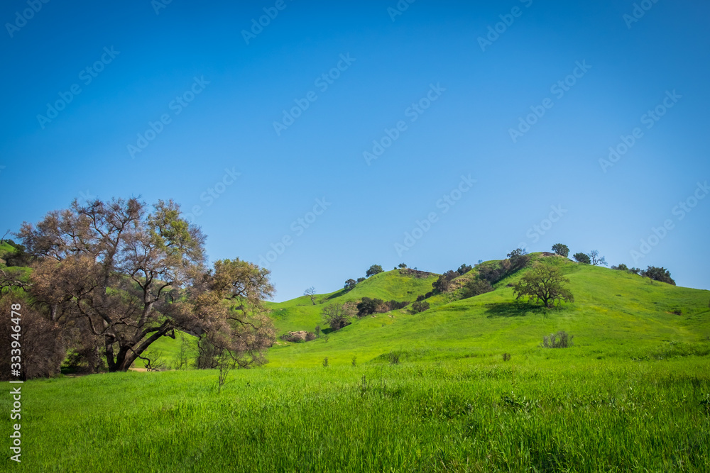 Malibu Creek State Park in the Santa Monica Mountains in spring 2019 Malibu Creek State Park in the Santa Monica Mountains in spring 2019