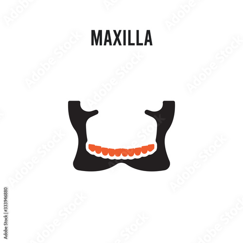 Maxilla vector icon on white background. Red and black colored Maxilla icon. Simple element illustration sign symbol EPS
