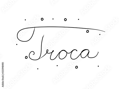 Troca phrase handwritten with a calligraphy brush. Exchange in portuguese. Modern brush calligraphy. Isolated word black