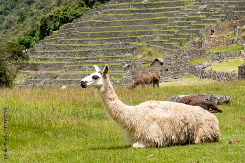 Machu Picchu © ok-foto