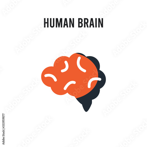 Human Brain vector icon on white background. Red and black colored Human Brain icon. Simple element illustration sign symbol EPS