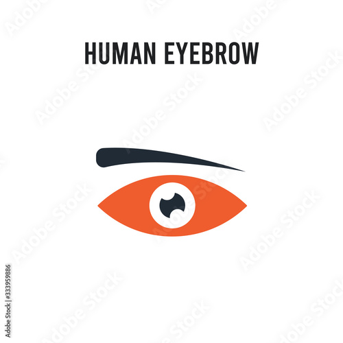 Human Eyebrow vector icon on white background. Red and black colored Human Eyebrow icon. Simple element illustration sign symbol EPS
