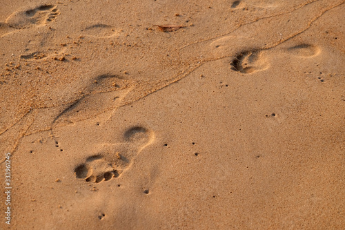 Footprints in the sand track, Candolim beach, North Goa, India
