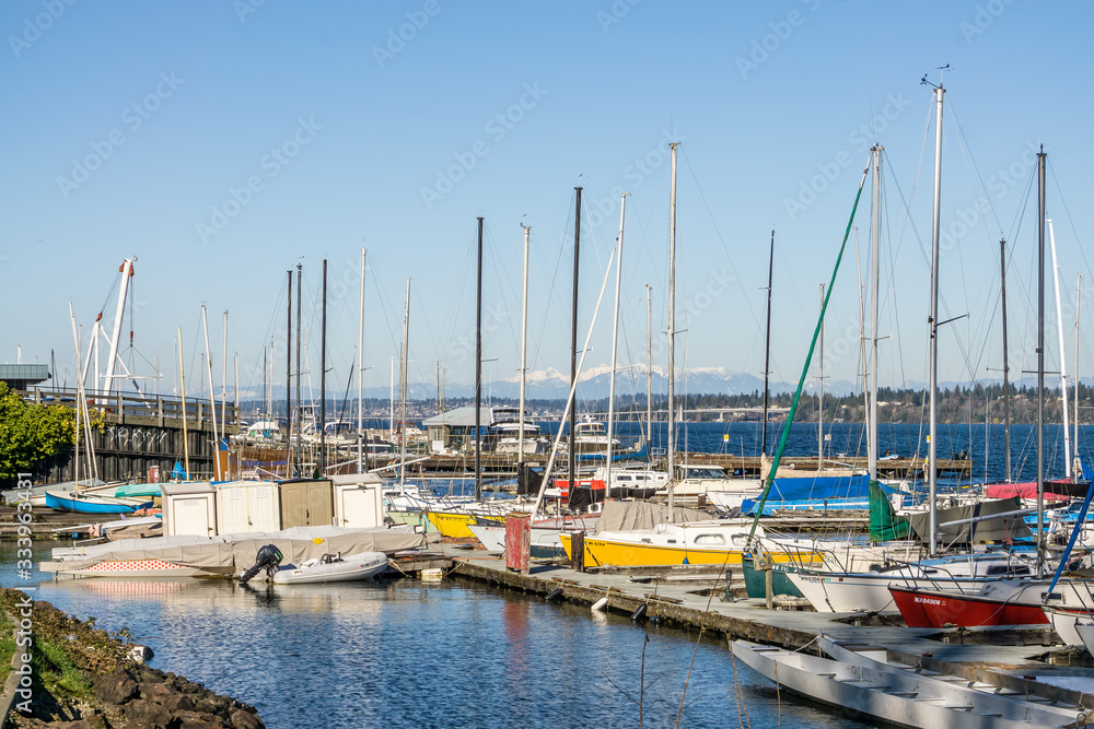 Leschi Marina Boats