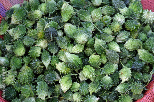 Karela Vegetables at Kumrokhali Market, West Bengal, India photo