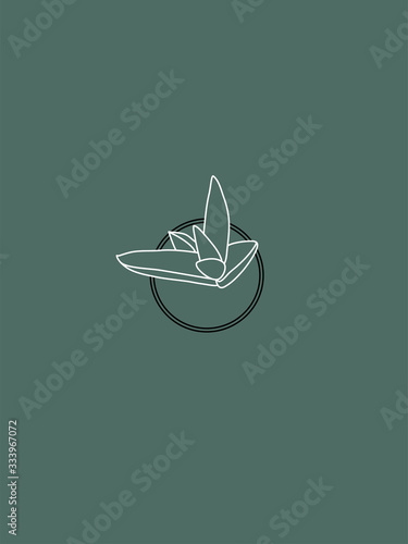 Succulent Haworthia White Line Vector Drawing on Mint