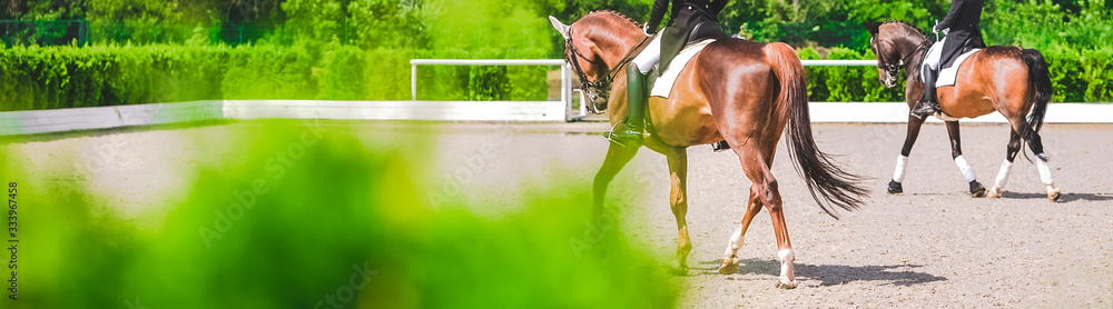 Obraz premium Dressage horses and riders in black uniform. Horizontal banner for website header design. Equestrian sport competition, copy space.