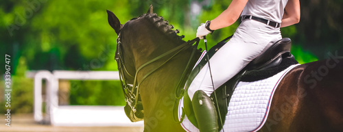 Dressage horse and rider in white uniform closeup. Horizontal banner for website header design. Equestrian sport competition, copy space.