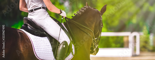 Dressage horse and rider in black uniform closeup. Horizontal banner for website header design. Equestrian sport competition, copy space.