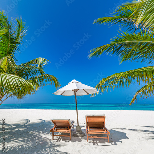 Tropical resort hotel leisure concept, landscape with palm trees over white sand and beach chairs, beds or loungers under umbrella. Luxury travel background banner design