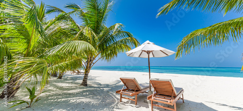 Tropical beach background as summer landscape with lounge chairs and palm trees and calm sea for beach banner