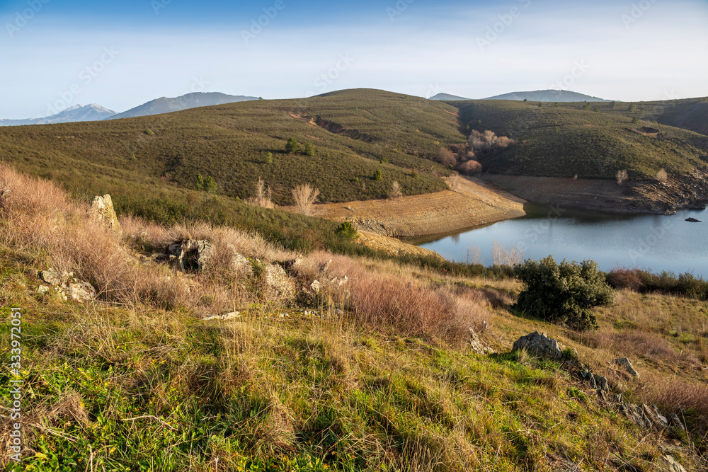Naklejka premium Pinos en la Sierra Norte y embalse del Atazar un día soleado. Madrid. España. Europa.