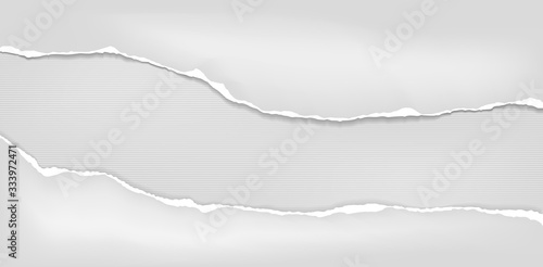 Pieces of torn white horizontal paper with soft shadow stuck on lined grey background. Vector illustration