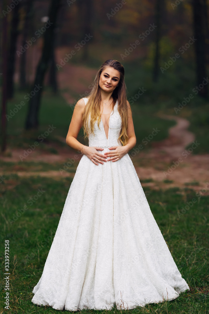 bride in elegant wedding dress in the park on a background of tr